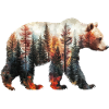Ours