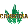 Cambodia