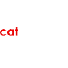 catrovertiert introvertierte Katzenmenschen