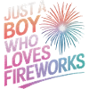 Pyrotechnics Fireworks Pyrotechnics