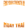 Muay Thai Boxe Muay Thai