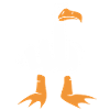 Seagull with middle finger