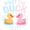 What the Duck Is It Ducks