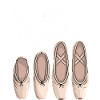 Ballet Lovers Five Slippers