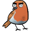 Robin attitude