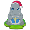 Hippopotamus Christmas Package