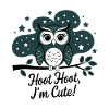 Cute Owl