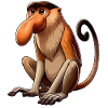 Proboscis Monkey png