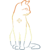 Veterinary Cat