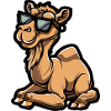 Camel Cool Comic