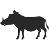 Wild boar