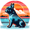 Sunset Frenchie Summeredition 2025