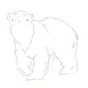 Sleepwalking Bear