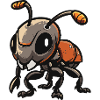 Ant Comic