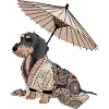 Wire-haired dachshund Dachshund Japanese styles. Dachshund