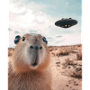 Capybara UFO