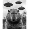 Capybara UFO Aliens
