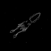 Giant Squid