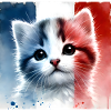 Mister Cat In France