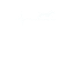 Battement de cœur de chien