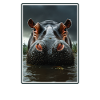 Nilpferd Flußpferd