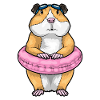 Hamster swimming lifebuoy