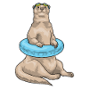 Otter Swimming Lifebuoy