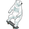 IJsbeer Skater Skateboard