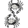 Crab Crab