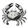 crab crab