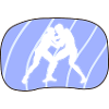 Wrestling Martial Arts