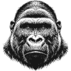Gorilla