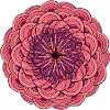 Mandala Rose