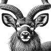 Kudu