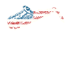 Saxophones American Flag