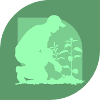 Jardinage Horticulture Fleur