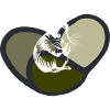 Rodent Mouse Pet