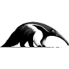 Anteater