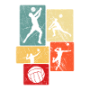 Volleyball
