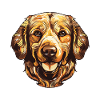 Golden Retriever Dog Portrait