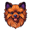 Pomeranian Dog Portrait