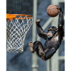 Chimpanzee Basketball