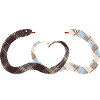 Snake Couple