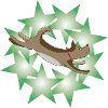 Emmana green stars