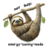 Lazy sloth,