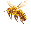 Bienen Biene