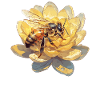 Bees Bee