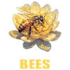 Bees Bee