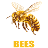 Bees Bee