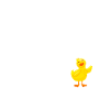 Pensioner Retirement Pension Pension Duck